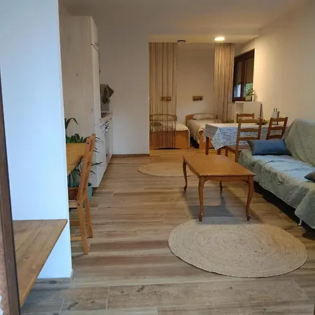 Apartment Gravitacija East *