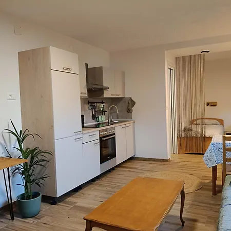 Gravitacija East Tolmin