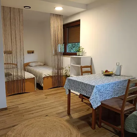 Apartment Gravitacija East Tolmin