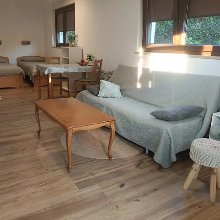 Gravitacija East Apartment *