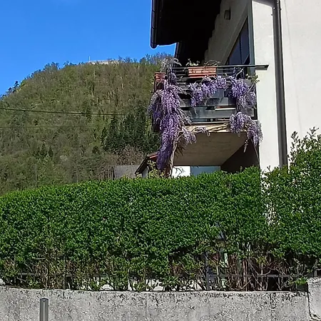Apartman Gravitacija East *