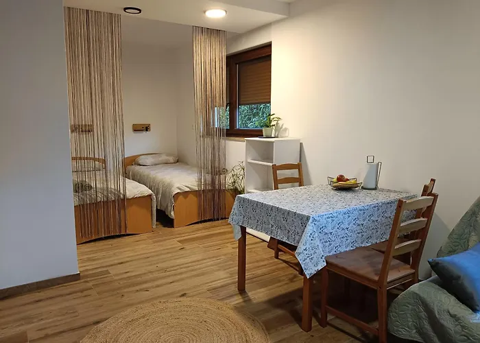 Appartamento Gravitacija East Tolmin